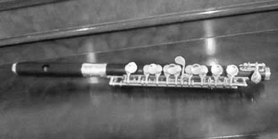 Gemeinhardt_4PC_Piccolo[4B]